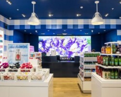 Bath & Body Works